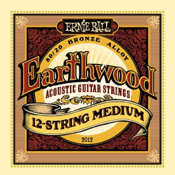 Ernie Ball Earthwood 12-String Medium