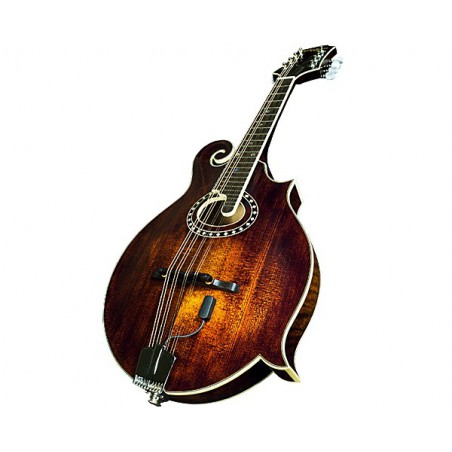 Micros Radius pour mandoline