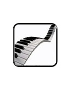 Pianos, Claviers et accessoires de claviers : pianos de scène, numériques et arrangeurs